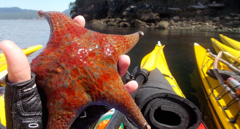 women unplug on kayaking adventure